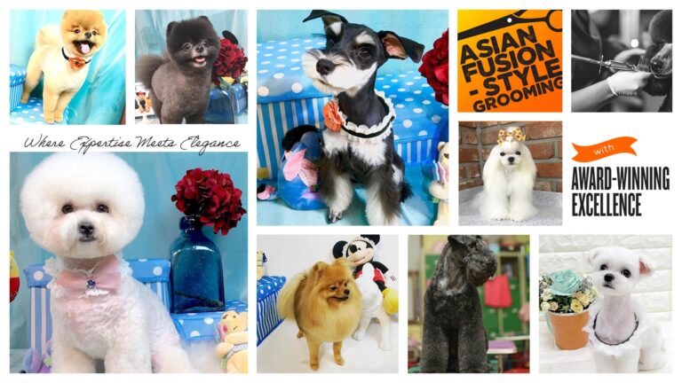 Pawradise Grooming Shot Banner