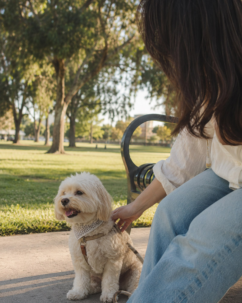 A woman sitting on a park bench and gently petting a small fluffy white dog wearing a checkered bandana.